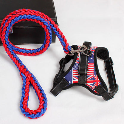 Set Pettorina e Guinzaglio per Cani