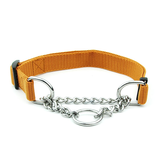 Collare a Catena Anti-Cane