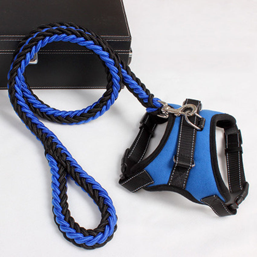Set Pettorina e Guinzaglio per Cani