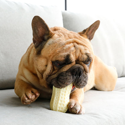 Giocattolo Simulazione Arachide per Cani