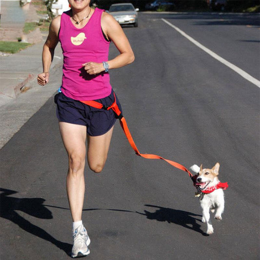 Guinzaglio Jogging per cani: Comfort e stile in movimento