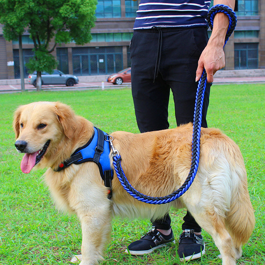 Set Pettorina e Guinzaglio per Cani