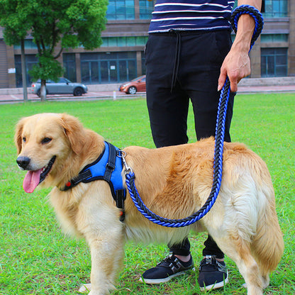 Set Pettorina e Guinzaglio per Cani
