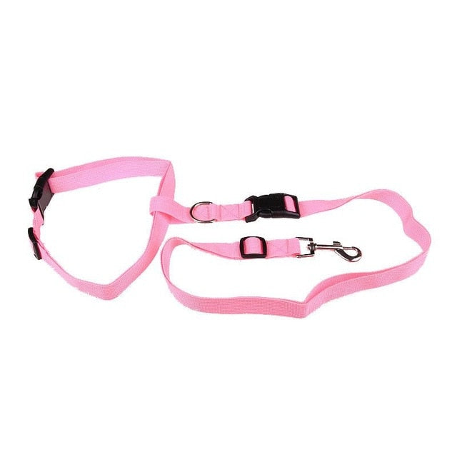 Guinzaglio Jogging per cani: Comfort e stile in movimento