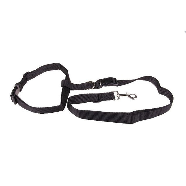 Guinzaglio Jogging per cani: Comfort e stile in movimento