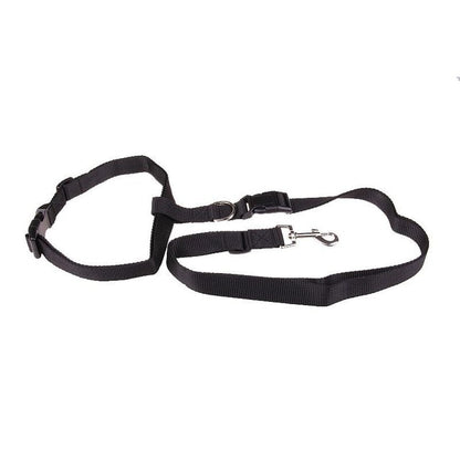 Guinzaglio Jogging per cani: Comfort e stile in movimento