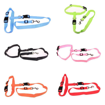 Guinzaglio Jogging per cani: Comfort e stile in movimento