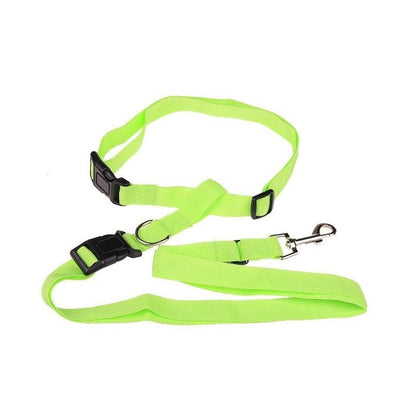 Guinzaglio Jogging per cani: Comfort e stile in movimento