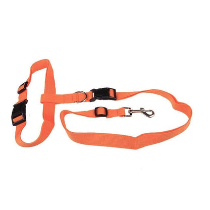Guinzaglio Jogging per cani: Comfort e stile in movimento
